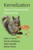 Kernelization Theory of Parameterized Preprocessing - Fomin.pdf